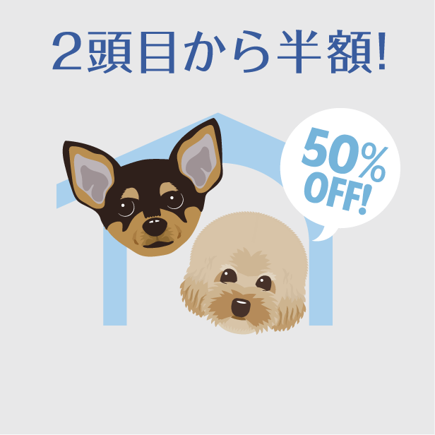 2頭目から半額!