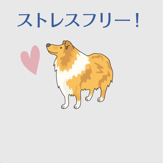 ストレスフリー！