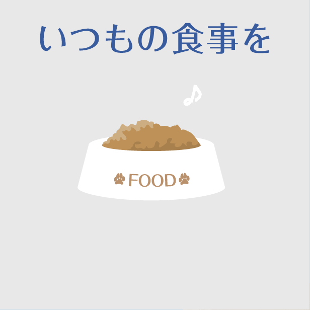いつもの食事を