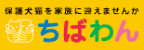 保護犬猫を家族に迎えませんか　ちばわん