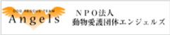 NPO法人動物愛護団体エンジェルズ